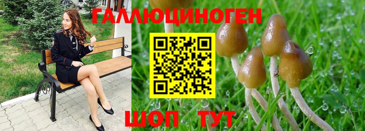 Галлюциногенные грибы Psilocybine cubensis Кунгур