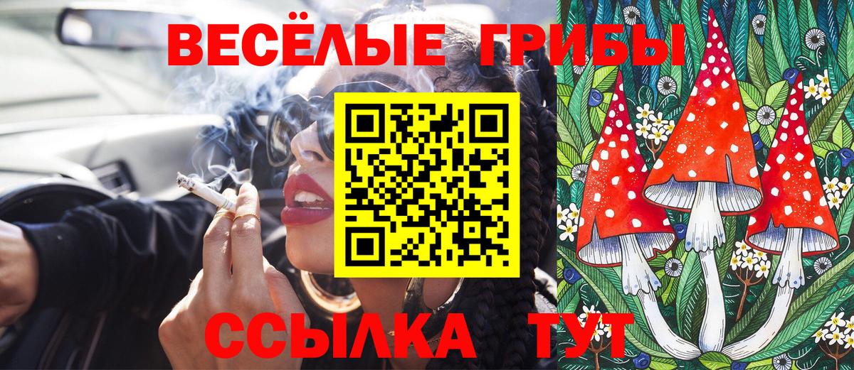 Кунгур  Псилоцибиновые грибы ЛСД  цены наркотик  Вход с VPN 